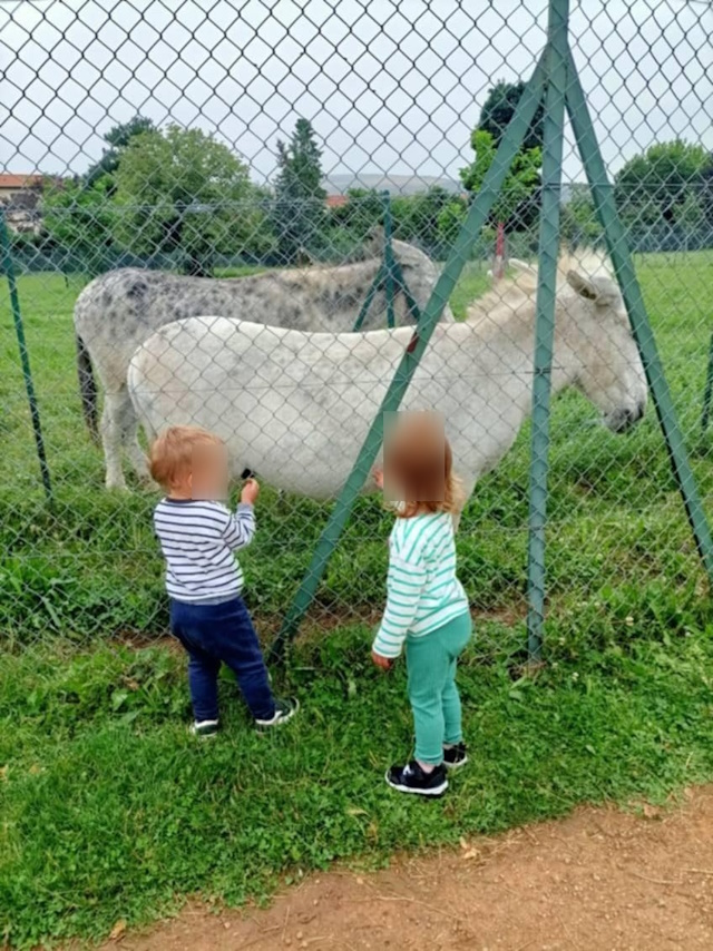 Des sorties au parc de Cournon avec votre assistante maternelle à Lempdes